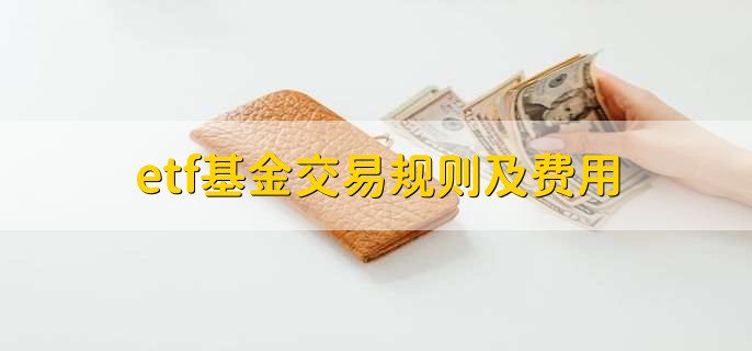 香港生力啤(00236)股价大幅上涨30%:盈利回暖,香港传统啤酒企业成功破局?