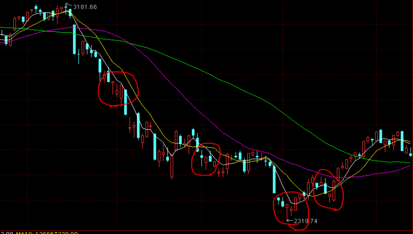 校长暖心寄语 为湛江高三学子高考助力
