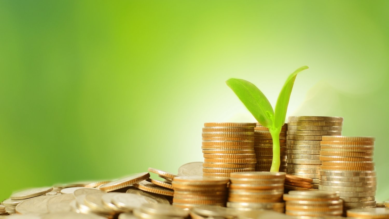 上海合作组织成员国元首理事会第二十五次会议一致同意接收老挝为对话伙伴